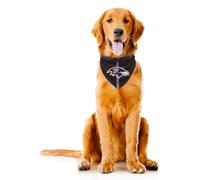Little Earth Productions Littlearth Baltimore Ravens NFL Pet Bandana