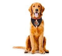 Little Earth Productions Littlearth Cincinnati Bengals NFL Pet Bandana