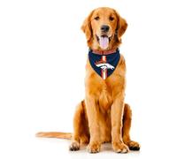 Little Earth Productions Littlearth Denver Broncos NFL Pet Bandana