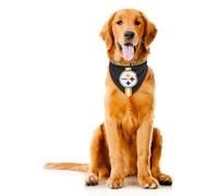 Little Earth Productions Littlearth Pittsburgh Steelers NFL Pet Bandana