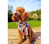 Little Enchanted Meadows Floral Dog Harness. Pet Pooch Boutique - Extra Small to Large (ideal for small dogs) (extra small)