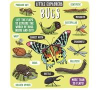 Little Explorers: Bugs