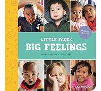 Little Faces Big Feelings: What Emotions Look Like: 2 (Little Feminist Presents)