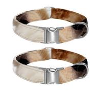 Little Fellows Meet Adjustable Pet Collar for Small Medium Large Dogs & Cats, Reflective Strip for Night Safety, Soft Comfort Pad