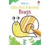 Little First Colouring Bugs – Usborne