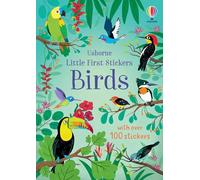 Little First Stickers Birds – Sticker Activity Book Flamingos, Penguins & Hummingbirds – Usborne