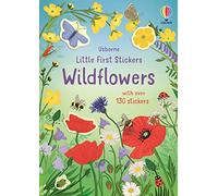 Little First Stickers Wildflowers
