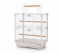 Little Friends Small Bird Cages Budgie Canary Finch Choice 63cm-90cm