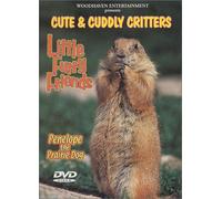 Little Furry Friends - Cute & Cuddly Critters: Little Furry Friends [DVD] [Region 1] [US Import] [NTSC]