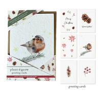 Little Green Gifts Plantable Christmas Cards - Christmas Robins - Pack of 6