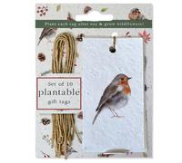 Little Green Gifts Plantable Christmas Gift Tags - Christmas Robins - Pack of 10