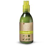 Little Green LITTLE GREEN KIDS LICE GUARD SHAMPOO DETANGLER 240 ml