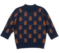 Little Green Radicals Bear Baby Kids 100% Organic Cotton Jumper -