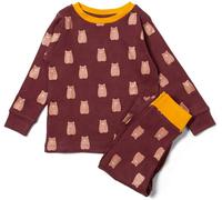 Little Green Radicals Bears Baby Kids 100% Organic Cotton Pyjamas -