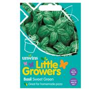 Little Growers Basil Sweet