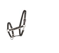 Little Horse Halter - Pony - Black