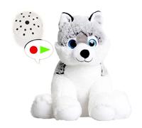 Little Husky Teddy Bear with Voice Recorder - 25cm - Record 60 Second Personal Message - Baby Heartbeat Bear