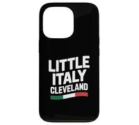 Little Italy Cleveland Ohio Italian Immigrant Pride Flag Case for iPhone 13 Pro