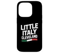 Little Italy Cleveland Ohio Italian Immigrant Pride Flag Case for iPhone 14 Pro