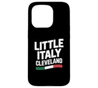 Little Italy Cleveland Ohio Italian Immigrant Pride Flag Case for iPhone 15 Pro