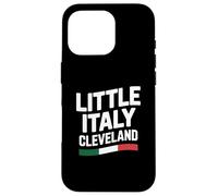 Little Italy Cleveland Ohio Italian Immigrant Pride Flag Case for iPhone 16 Pro