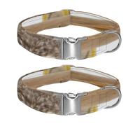 Little Joys in Pure White Adjustable Pet Collar for Small Medium Large Dogs & Cats, Reflective Strip for Night Safety, Soft Comfort Pad