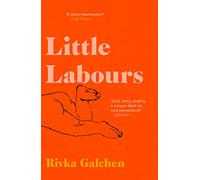 Little Labours: An Observer Book of the Year and Witty Non-Fiction Parenting Memoir