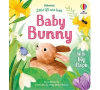 Little Lift and Look Baby Bunny