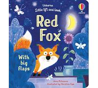 Little Lift and Look Red Fox: (Little Lift and Look)