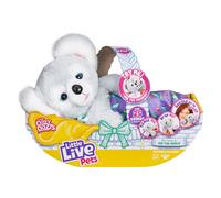 Little Live Pets Cozy Dozy Kip The Koala Bear - Over 25 Sounds and Rea