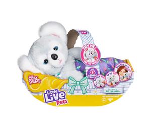 Little Live Pets Cozy Dozy Kip The Koala Bear - Over 25 Sounds and Rea