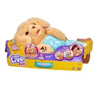 Little Live Pets - Cozy Dozys: Charlie The Puppy | Interactive Plush Toy Dog. 25+ Sounds and Reactions. Magical Eye Movement. Blanket, Pacifier and Batteries Included. For Kids Ages 4+