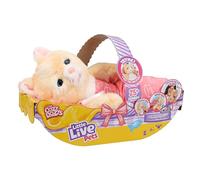 Little Live Pets - Cozy Dozys: Ginger The Kitty | Interactive Plush Toy Kitty. 25+ Sounds and Reactions. Magical Eye Movement. Blanket, Pacifier and Batteries Included. for Kids Ages 4+