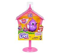Little Live Pets Lil' Bird Series 12 Bird & House - Pretty Posh