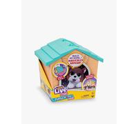Little Live Pets My Puppy Home Minis Teal And Orange