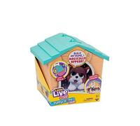 Little Live Pets My Puppy'S Home Minis One Colour