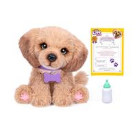 Little Live Pets My Really Real Puppy - Bailey, Interactive Plush with 60+ Sounds and Reactions, 32.8cm Tall, Realistic Blinking Eye Movement, Feeds and Sounds Real, Perfect For Kids Ages 4+