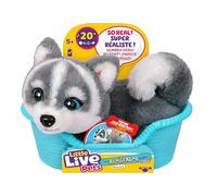 Little Live Pets My Really Real Puppy Minis- Aurora the Husky| Interactive Puppy with 20+ Sounds & Reactions- Includes Basket for Display. Fun & Adorable Gift for Kids (11cm/4.3in tall)