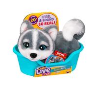 Little Live Pets My Really Real Puppy Minis- Aurora the Husky| Interactive Puppy with 20+ Sounds & Reactions- Includes Basket for Display. Fun & Adorable Gift for Kids (11cm/4.3in tall)