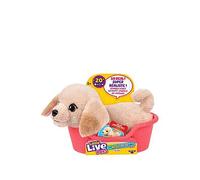 Little Live Pets My Really Real Puppy Minis- Buddy the Retriever| Interactive Puppy with 20+ Sounds & Reactions- Includes Basket for Display. Fun & Adorable Gift for Kids (11cm/4.3in tall)