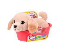 Little Live Pets My Really Real Puppy Minis- Buddy the Retriever| Interactive Puppy with 20+ Sounds & Reactions- Includes Basket for Display. Fun & Adorable Gift for Kids (11cm/4.3in tall)
