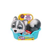 Little Live Pets My Really Real Puppy Minis One Colour