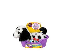 Little Live Pets My Really Real Puppy Minis- Pepper the Dalmatian| Interactive Puppy with 20+ Sounds & Reactions- Includes Basket for Display. Fun & Adorable Gift for Kids (11cm/4.3in tall)