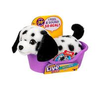 Little Live Pets My Really Real Puppy Minis- Pepper the Dalmatian| Interactive Puppy with 20+ Sounds & Reactions- Includes Basket for Display. Fun & Adorable Gift for Kids (11cm/4.3in tall)