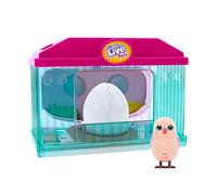 Little Live Pets; Surprise Chick Hatching House; Cute Interactive Collectible Toy Chick Chirps & Taps; Hatches Out Of Egg & Hops About