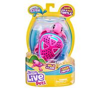 Little Live Pets TURTLE- STYLES MAY VARY