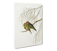Little Lorikeet Birds By Elizabeth Gould Canvas Print | Gallery Wrapped 30mm Frame Wall Art | 20x14 inches | Ready to Hang | Retro Bird Picture | Living Room Bedroom Lounge Office