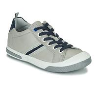 Little Mary Shoes (Trainers) LOGAN in Grey 11.5 kid