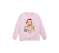 Little Mistress Dashund Through The Snow Jumper In Pink Pink M
