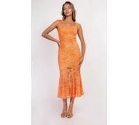 Little Mistress Iska Orange Lace Square Neck Fishtail Midaxi Dress Orange 10